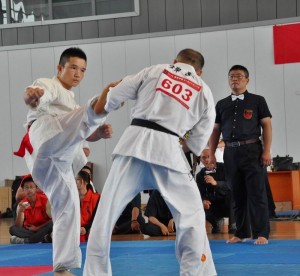 China Zhao October 2014 3