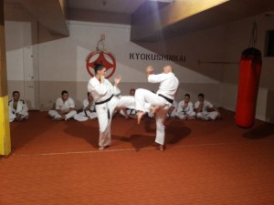 Montenegro Pesikan October 2014 13