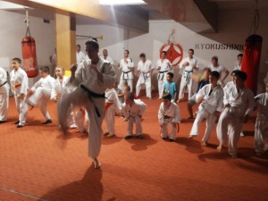 Montenegro Pesikan October 2014 8