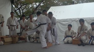 沼田演武会2014　10