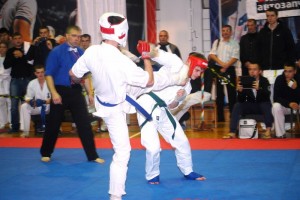 Russia Olin November 2014 13