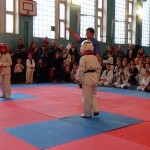 Ukraine Volyn November 2014 10