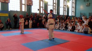 Ukraine Volyn November 2014 10