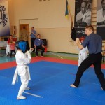 Ukraine Volyn November 2014 12