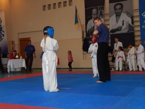 Ukraine Volyn November 2014 7