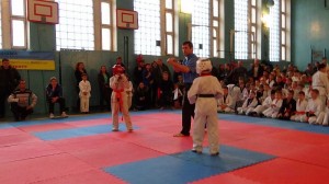 Ukraine Volyn November 2014 9