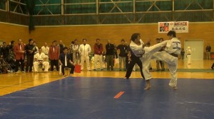 群馬県大会２０１４18