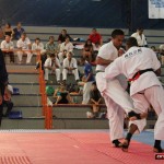 Brazil Nagata February 2015 10