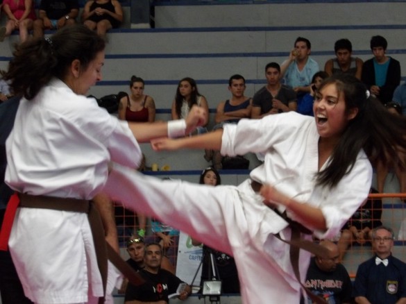 KODAK Digital Still Camera