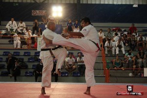 Brazil Nagata February 2015 9
