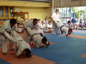 Chile Toledo February 2015 11