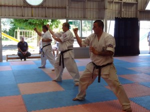 Chile Toledo February 2015 13