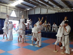 Chile Toledo February 2015 9