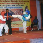 India Dey February 2015 8