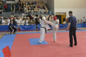 Croatia Sekelj March 2015 6