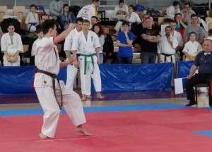 Poland Robert  March 2015 9