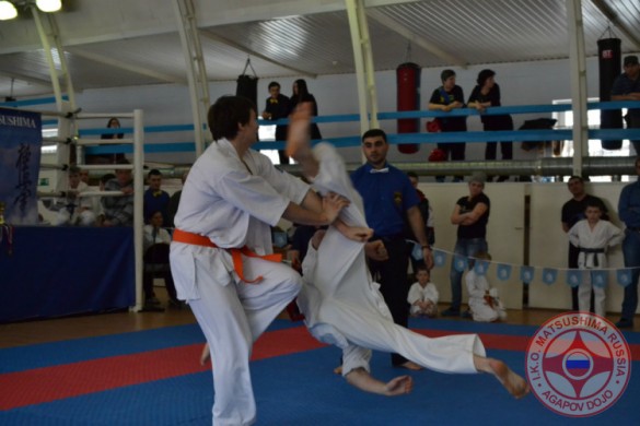 Russia Agapov March 2015 9