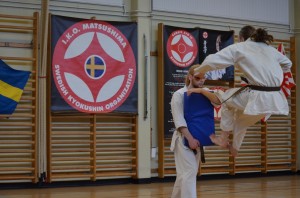 Sweden Nabahi March 2015 11