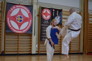 Sweden Nabahi March 2015 12