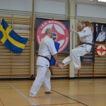 Sweden Nabahi March 2015 13