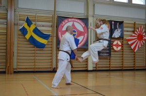 Sweden Nabahi March 2015 13