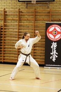Sweden Nabahi March 2015 2