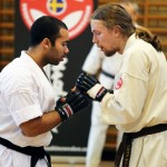 Sweden Nabahi March 2015 9