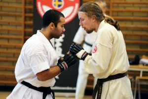 Sweden Nabahi March 2015 9