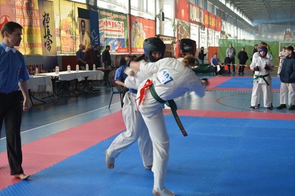 Ukraine Volinets Mrach 2015 6