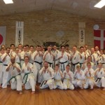 Denmark Seminar 10 (800x600)