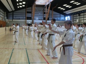 Denmark Seminar 3 (800x600)