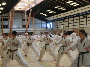 Denmark Seminar 4 (800x600)