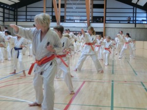 Denmark Seminar 5 (800x600)