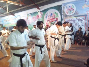 Pakistan Butt May 2015 4