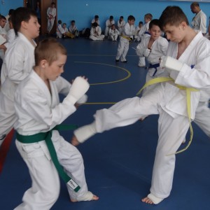 Russia Udodov May 2015 8