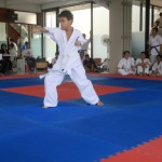 Indonesia Setia June 2015 7