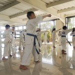 Indonesia Setia June 2015 9