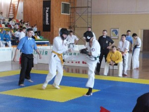 Ukraine Vilynets June 2015 1