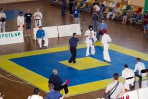 Ukraine Volynets June 2015 18