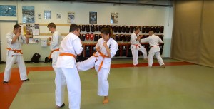 Finland Kimmo July 2015 21