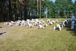 Ukraine Volynets July 2015 4