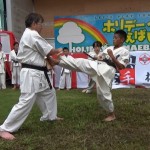 ホリデーインまえばし2015　8