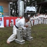 ホリデーインまえばし2015　14