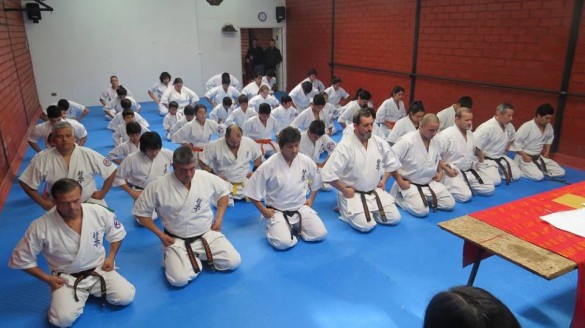 Chile Toledo August 2015 1