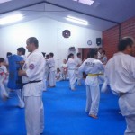 Chile Toledo August 2015 10