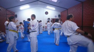 Chile Toledo August 2015 10