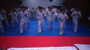 Chile Toledo August 2015 12