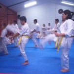 Chile Toledo August 2015 13