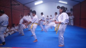 Chile Toledo August 2015 13