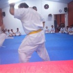 Chile Toledo August 2015 14